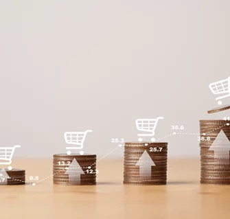 rise in consumer financing and ecommerce financing